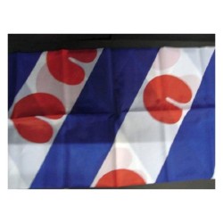 Friese vlag Friesland 40 x 60 cm