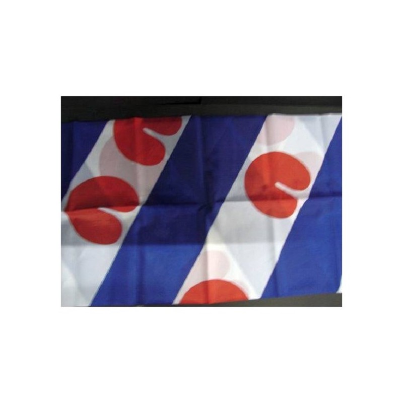 Friese vlag Friesland 40 x 60 cm