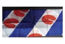 Friese vlag 30 x 45 cm