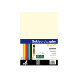 Kopieerpapier A4 160gr 50vel assorti kleuren