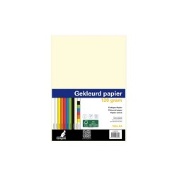 Papier à copier A4 120gr 100 feuilles couleurs assorties en pack