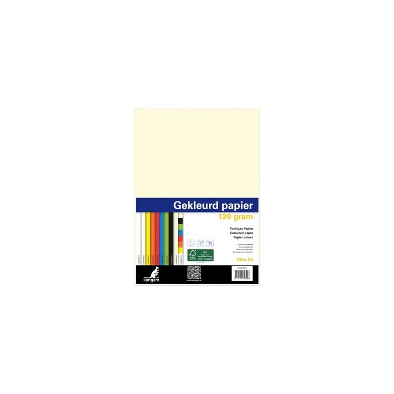 Kopieerpapier A4 120gr 100vel assorti kleuren in pak