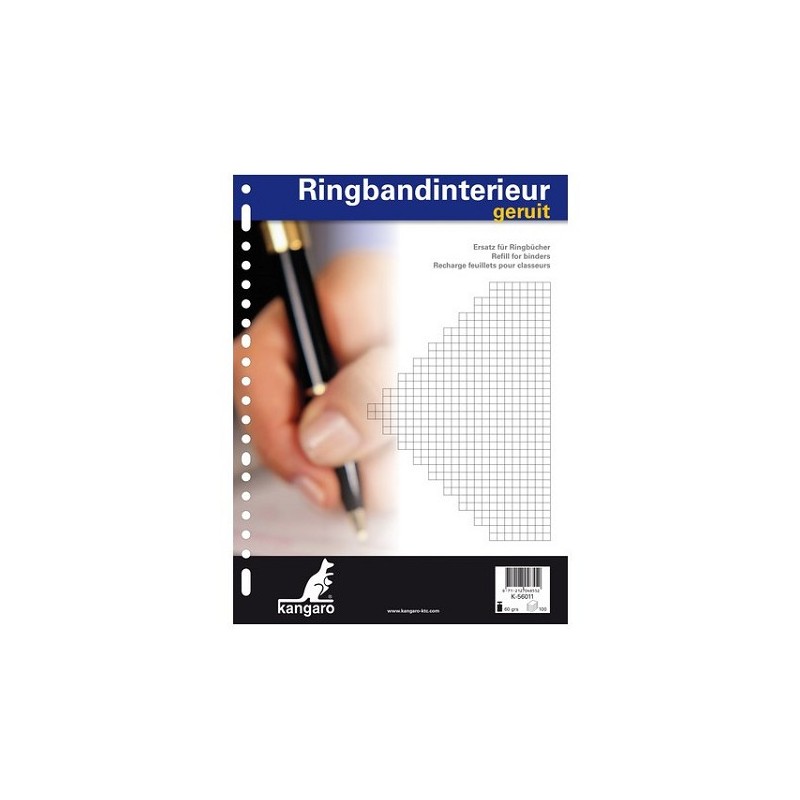 Ringbandinterieur 23r ruit 5 mm.
