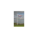 Friese vlag 20x30 cm