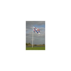Friese vlag 20x30 cm