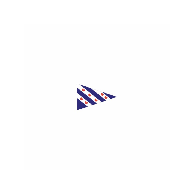 Friese vlag Puntvlag Friesland 20x30 cm