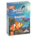 Faits sur IdentityGames quatuor Sealife