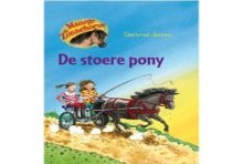 Kluitman Manege de zonnehoeve de stoere pony