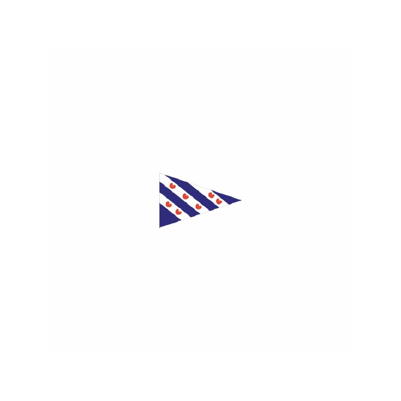 Friese vlag Puntvlag Friesland 40x60 cm punt