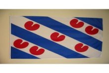 Friese vlag 30 x 45 cm