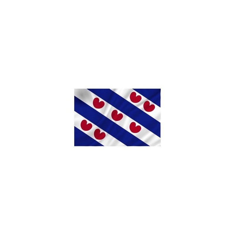 Friese vlag 50x75 cm spun-poly