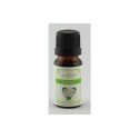 Geurolie Jasmijn 10ml pak/6st