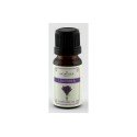 Geurolie Lavendel 10ml. pak a 6 stuks