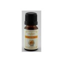 Geurolie rozen 10ml. pak/6st