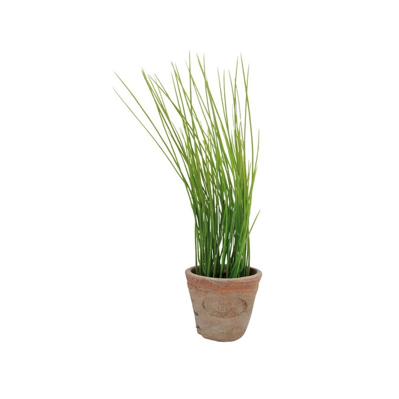 Esschert Design Kunststof Bieslook in terracotta pot pot dia8,8x28cm