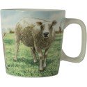 Wiebe's Farm Minimok schaap 230ml doos a 6 stuks porselein