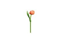 Tulp hout oranje/wit 35cm