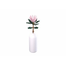 Sluban Reuzeprotea 219-delig