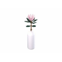 Sluban Reuzeprotea 219-delig