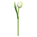 Tulp hout wit/groen35cm