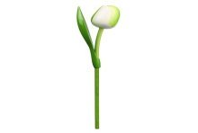 Tulp hout wit/groen35cm