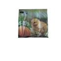 Duni Servetten Chicken with egg 33x33cm