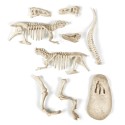 Wetenschap & Spel Archeospel - T-Rex Fluo