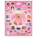 Stickervel Cutie Puppies en Kittens