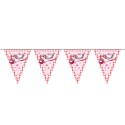 Roze Vlaggenlijn, 6mtr.