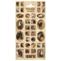 Stickervel Paarden