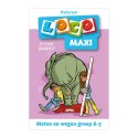 Maxi Loco - Meten en Wegen Groep 6-7 (9-11 jr.)