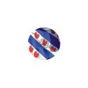 Magneet rond Fryslan